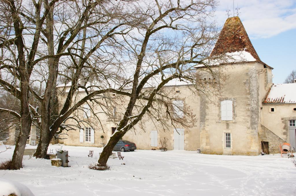 Chateau De La Combe Puyrenier Exteriér fotografie