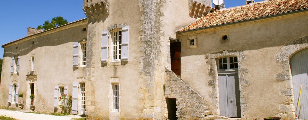 Chateau De La Combe Puyrenier Exteriér fotografie